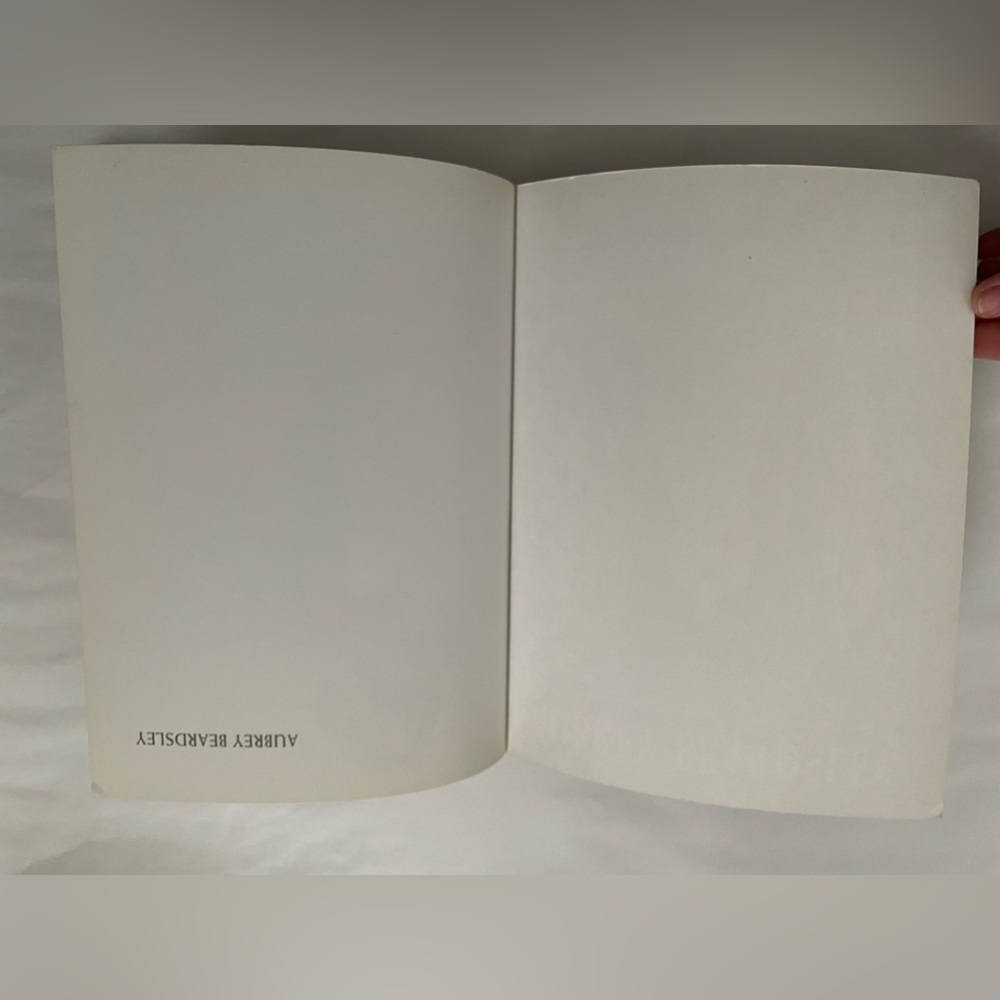 Aubrey beardsley book by stephen calloway - Picture 2 of 6